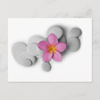 Frangipani Calm Briefkaart