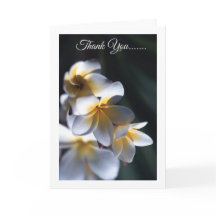 Frangipani carte de remerciements à fleurs