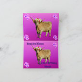 Frangipani de Highland Koe, Kaart (Binnen)