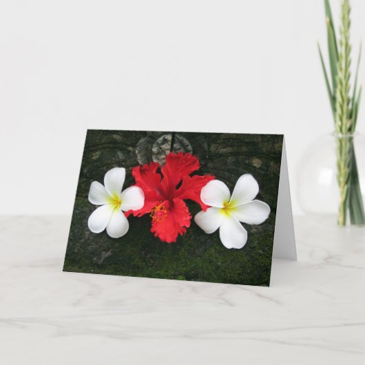 frangipani drietal kaart (Voorkant)