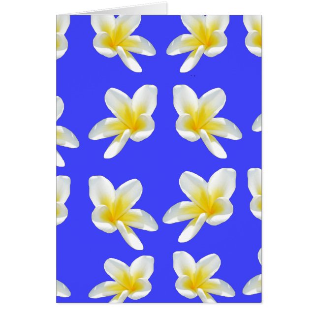 Frangipani_Essece_Of_Simmer (Voorkant)