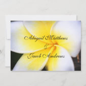 Frangipani - Faire-part de mariage (Dos)