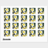 Frangipani flower Cookeilanden Vierkante Sticker (Vel)