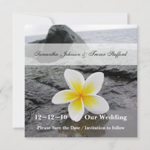 Frangipani-huwelijksaankondigingen voor save the d date