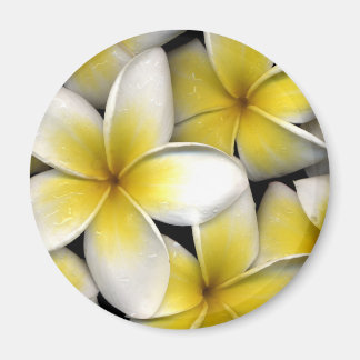 Frangipani Magneet