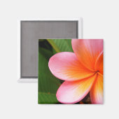 Frangipani Magnet (Recto/Verso)