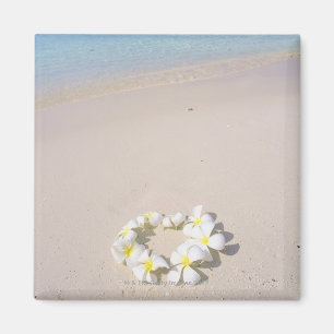 Frangipani op het strand magneet