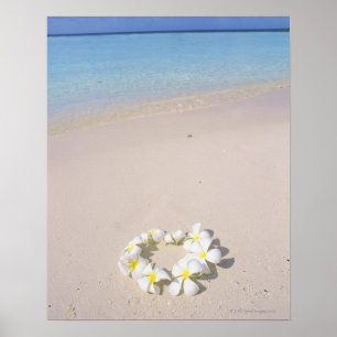 Frangipani op het strand poster
