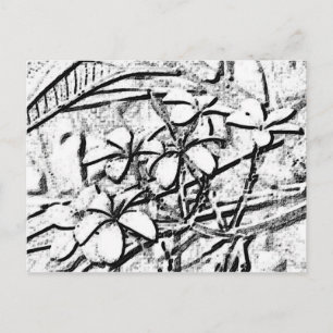 Frangipani Pencil Art Briefkaart