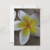 Frangipani Plage Mariage sur mesure Invitations (Dos)