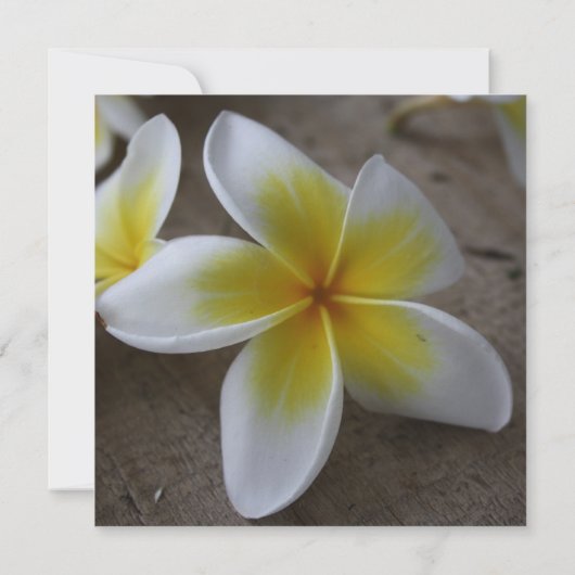 Frangipani Plage Mariage sur mesure Invitations (Dos)