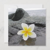 Frangipani Plage Mariage sur mesure Invitations (Dos)