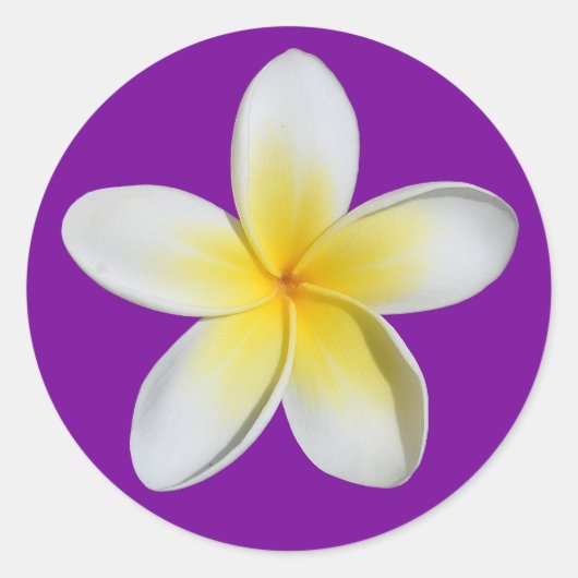 Frangipani Ronde Sticker (Voorkant)
