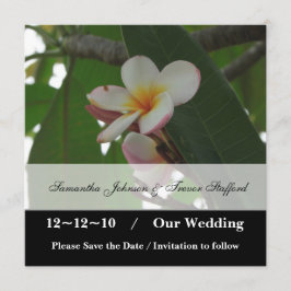 Frangipani Wedding Save the Date-aankondigingen Save The Date