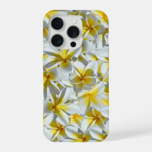 Frangipaniers blancs jaunes tropicaux,