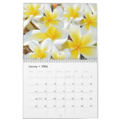 Frangipanis de schoonheid van de kalender van Love (Jan 2026)