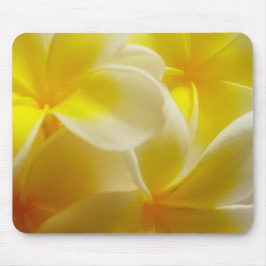 Frangipani's Muismat (Voorkant)