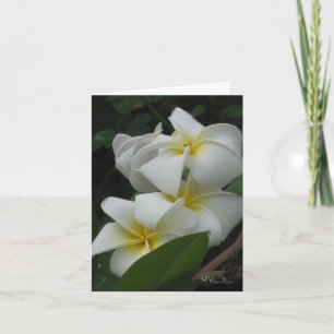 Frangipanis Note Cards Kaart