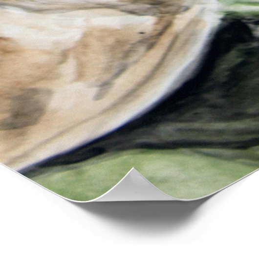 Frank Black Hero Poster (Hoek)