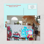 Frank&Leo : As-tu vu le chat ? carte postale (Devant / Derrière)