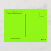 Frankenstein's maleficent briefkaart (Achterkant)