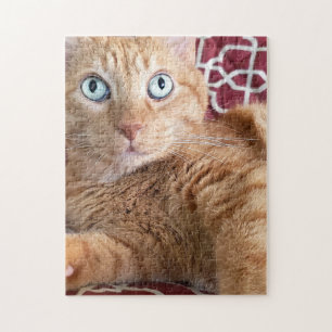 Frankie Legpuzzel