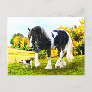 "Frankie & Tessa" Briefkaart