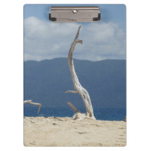 Frankland Islands - Australië