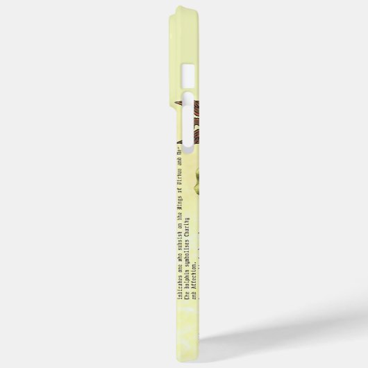 Franklin History Nom Coque iphone (Verso / Gauche)