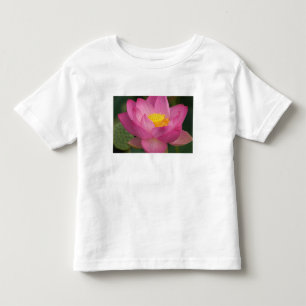 Franklin NC, Perry's Water Garden, Lotus 2 Kinder Shirts