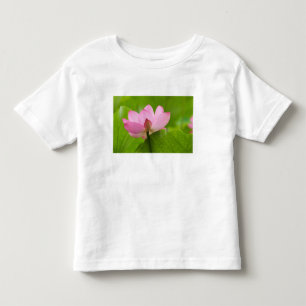 Franklin NC, Perry's Water Garden, Lotus Kinder Shirts