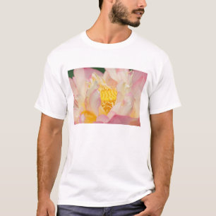 Franklin NC, Perry's Water Garden, Lotus met T-shirt