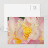 Franklin NC, Perry's watertuin, Lotus met Briefkaart (Voorkant / Achterkant)