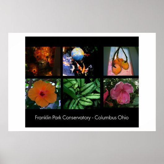 Franklin Park Conservatory Poster (Voorkant)