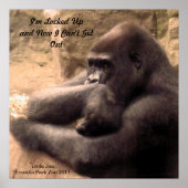 Franklin Park Zoo Gorilla Print (Voorkant)
