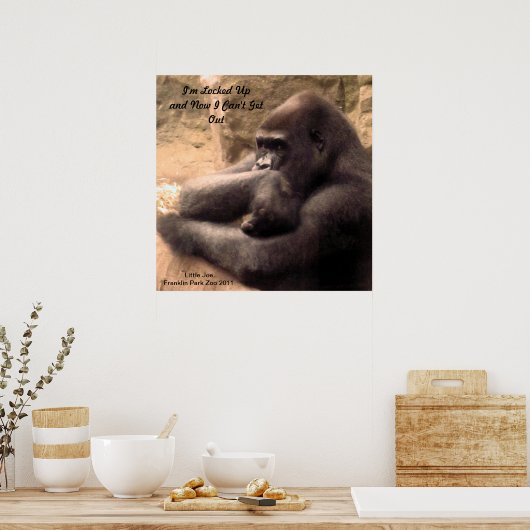 Franklin Park Zoo Gorilla Print (Keuken)