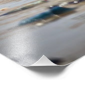 Franklin's Gull Foto Afdruk (Hoek)