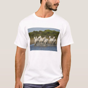 Frankrijk, Camargue. Paarden rennen door het estua T-shirt