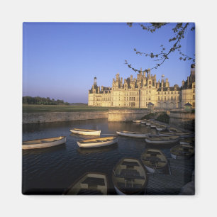Frankrijk, Centre, Loir et Cher, Chateau Chambord Magneet