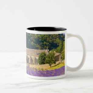 Frankrijk, Gordes. Cisterciënsenklooster van Tweekleurige Koffiemok