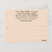 Frankrijk, Inside the Bastille in 1789 Briefkaart (Achterkant)