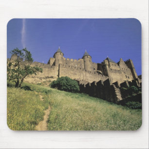 FRANKRIJK, Languedoc Carcassonne Muismat