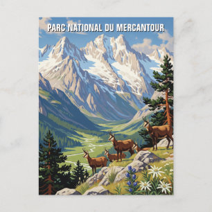Frankrijk Mercantour Nationaal Park Reizen Briefkaart