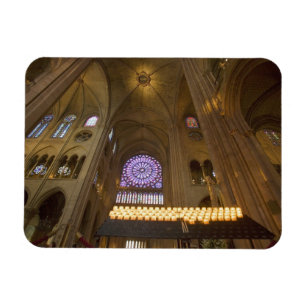 Frankrijk, Parijs. Interieur van de Notre Dame Kat Magneet