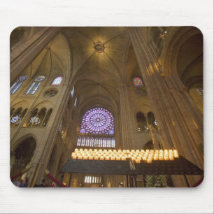 Frankrijk, Parijs. Interieur van de Notre Dame Kat Muismat