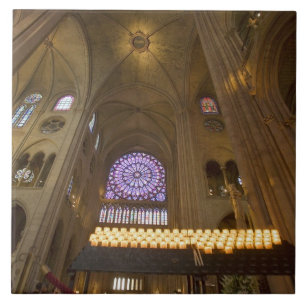Frankrijk, Parijs. Interieur van de Notre Dame kat Tegeltje