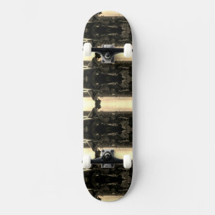 Frankrijk Parijs Notre Dame Cathedral duivel Li Skateboard