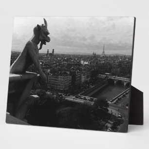 Frankrijk Paris Notre Dame Cathedral duivel Fotoplaat