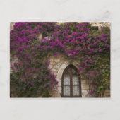 Frankrijk, Provence, Eze. Bright Pink Briefkaart (Voorkant)