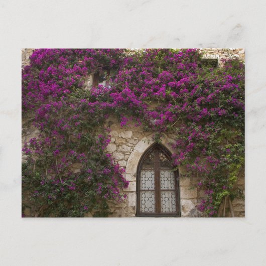 Frankrijk, Provence, Eze. Bright Pink Briefkaart (Voorkant)